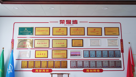Strength Certification | Awarded SRCI Enterprise, Consolidating Core Industrial Competitiveness